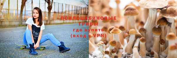 скорость Аркадак