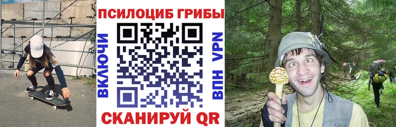 Псилоцибиновые грибы MAGIC MUSHROOMS Мензелинск
