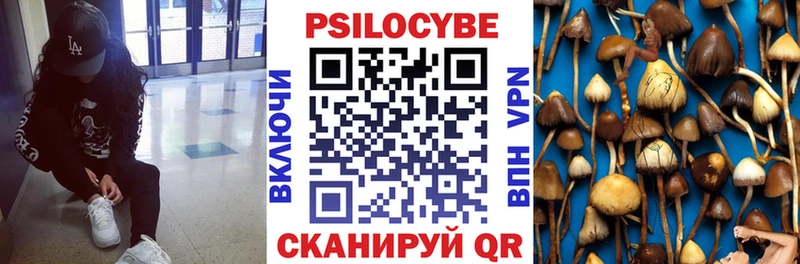 Галлюциногенные грибы Psilocybe  купить наркотики цена  Мензелинск 