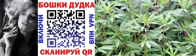 Бошки марихуана MAZAR Мензелинск